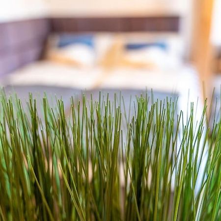 Appartamento Golden Nugget Inkl Wlan, Parkplatz Detmold Esterno foto